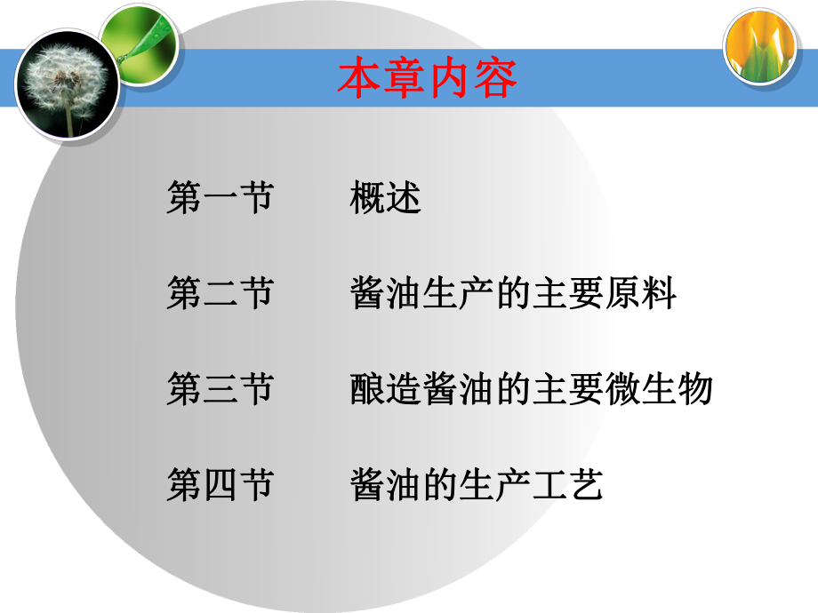 酱油的酿造工艺课件.ppt_第3页