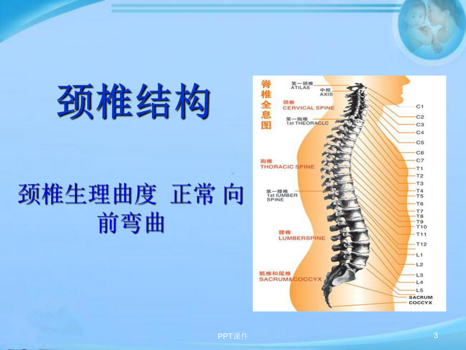 颈椎病预防与保健-课件.ppt_第3页