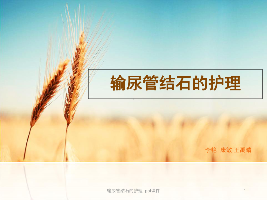 输尿管结石的护理-课件.ppt_第1页