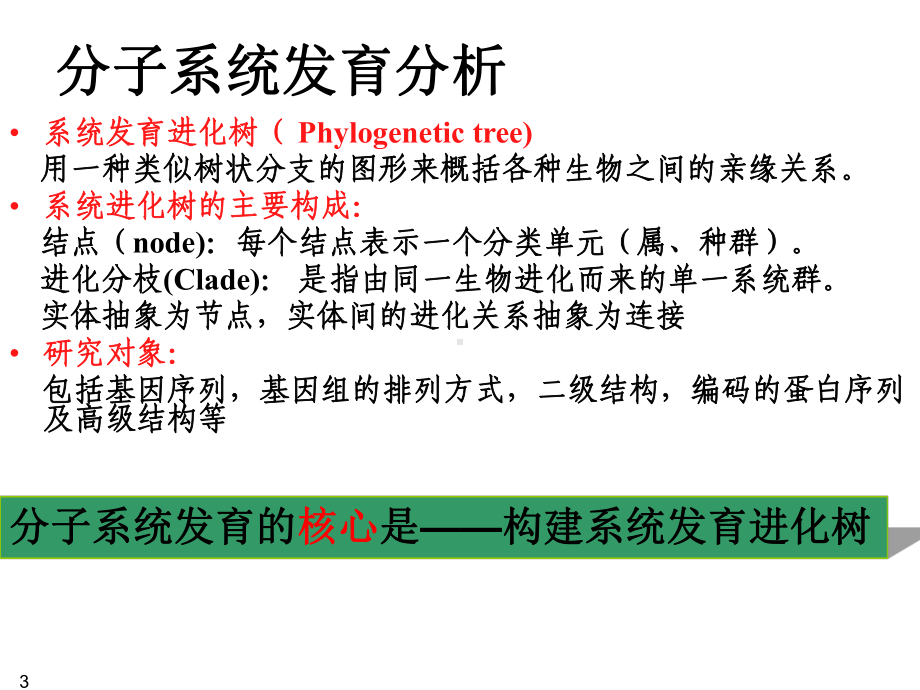 系统发育树构建课件.pptx_第3页