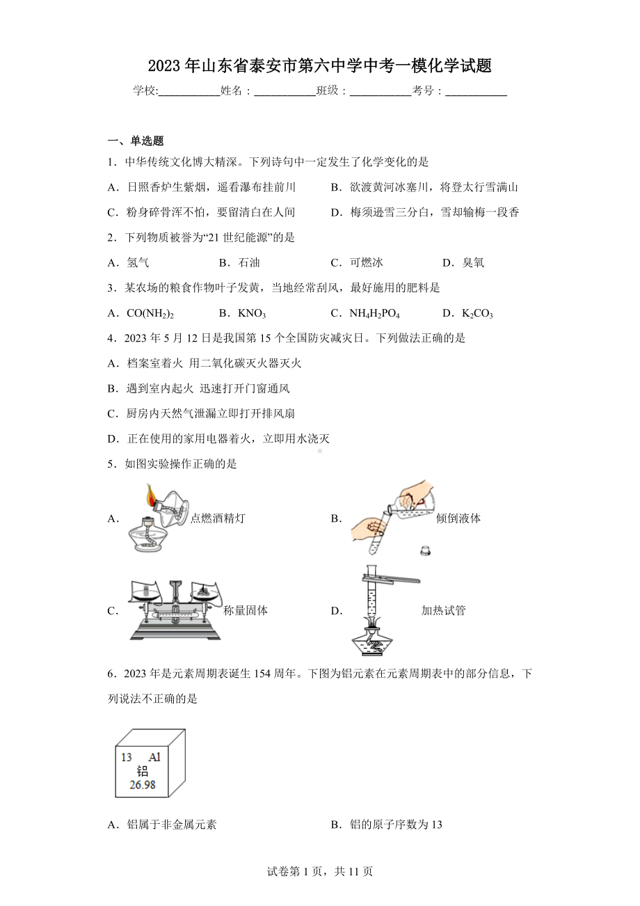 2023年山东省泰安市第六中学中考一模化学试题.docx_第1页