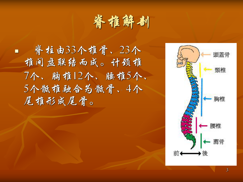 颈脊髓损伤课件(同名363).ppt_第3页