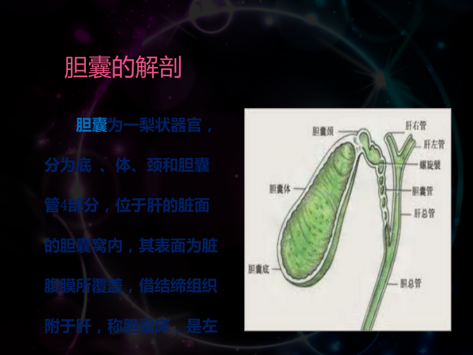 腹腔镜下胆囊切除术的手术配合-课件.ppt_第3页