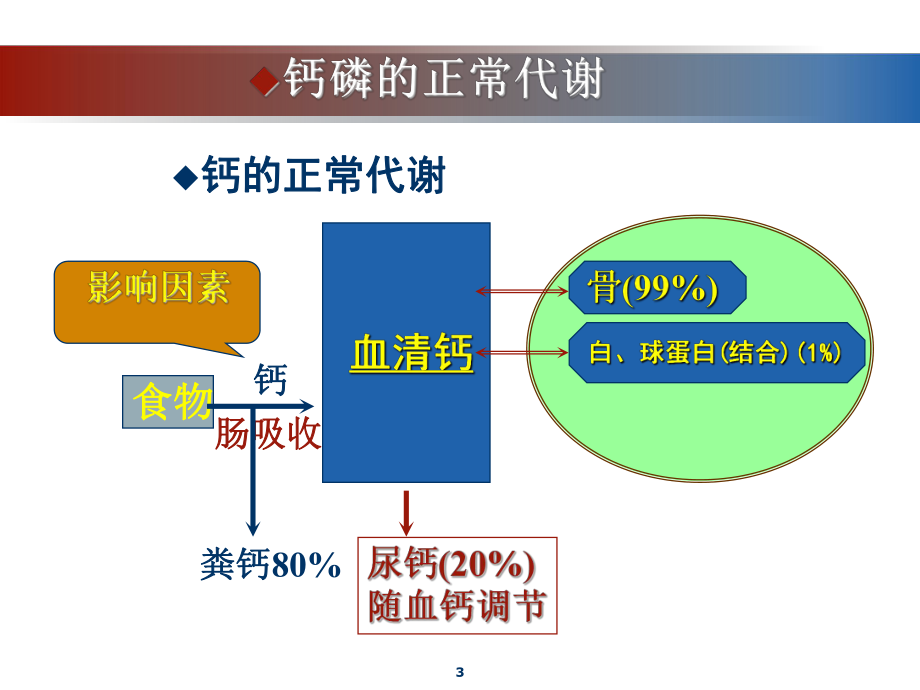 高钙血症课件.ppt_第3页