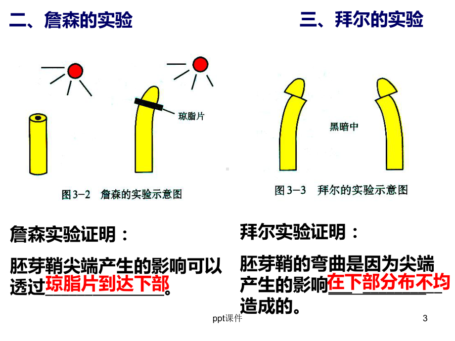 高三生物一轮复习植物的激素调节-课件.ppt_第3页