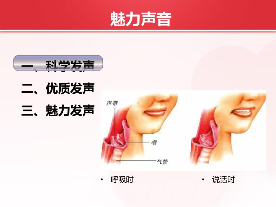 魅力声音课件.ppt_第3页