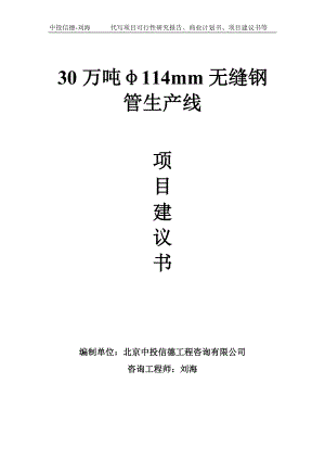 30万吨φ114mm无缝钢管生产线项目建议书写作模板.doc