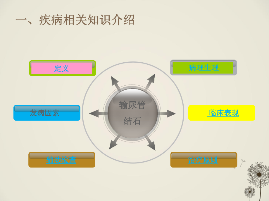 输尿管结石患者的护理查房课件(同名339).ppt_第3页