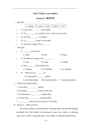 Unit 2 What’s your hobby？Lesson 11 素质评价.doc