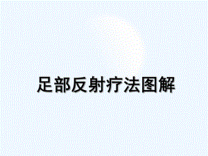 足部反射区疗法图解-课件.ppt