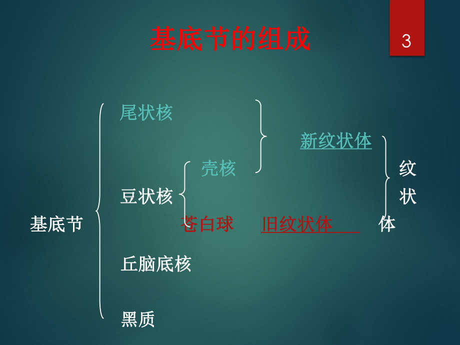 运动障碍疾病(锥体外系疾病)课件.ppt_第3页