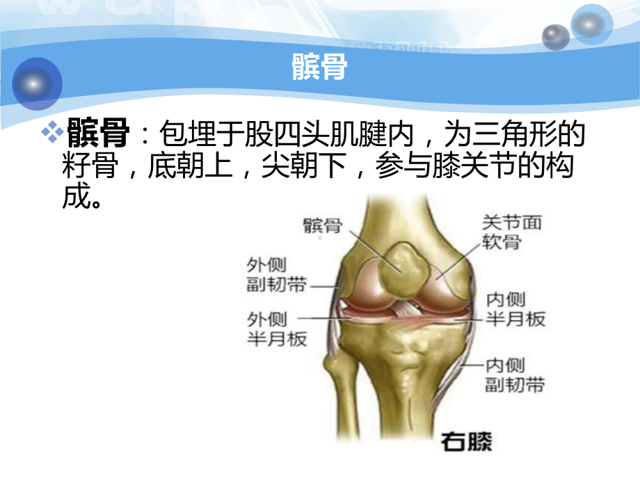 髌骨骨折护理查房43273课件.ppt_第3页