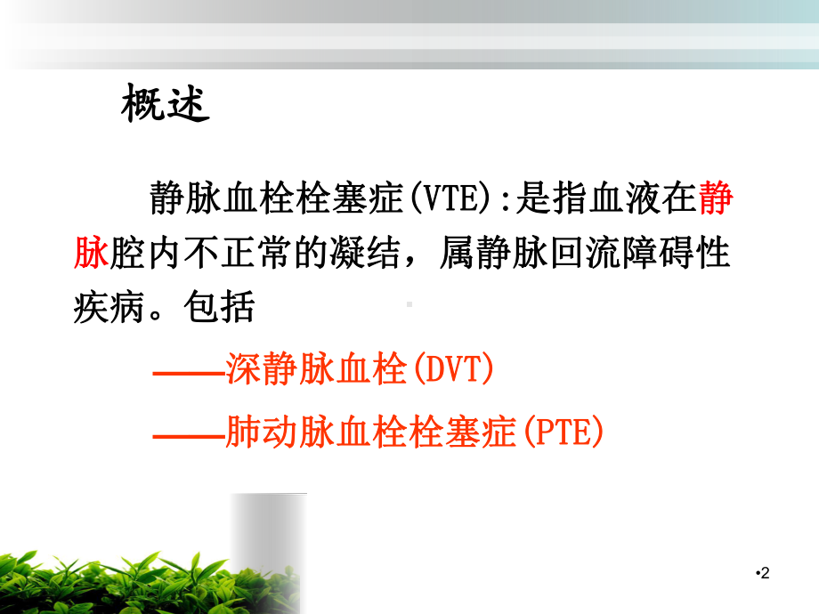 骨科深静脉血栓的预防及护理学习课件.ppt_第2页