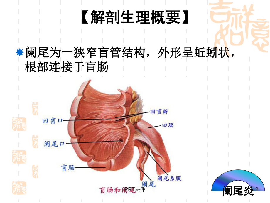 阑尾炎-教学讲解课件.ppt_第2页