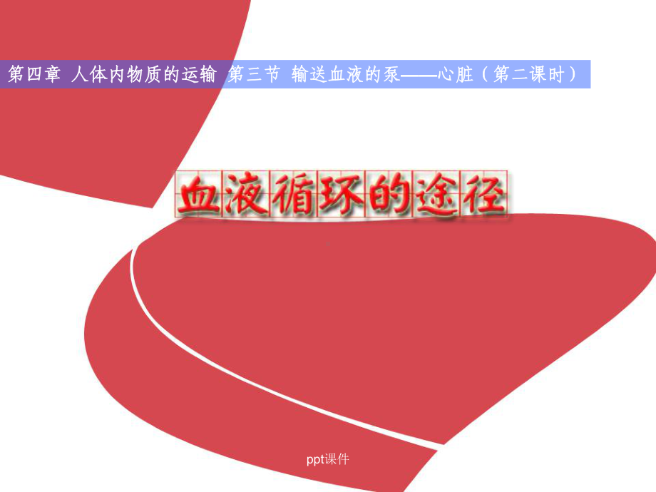 血液循环途径说课-课件.ppt_第2页