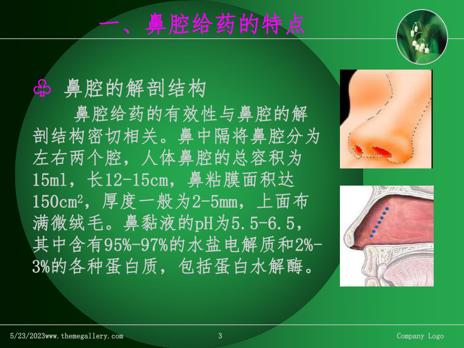 鼻腔给药课件.ppt_第3页