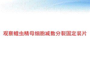 观察蝗虫精母细胞减数分裂固定装片-课件.ppt