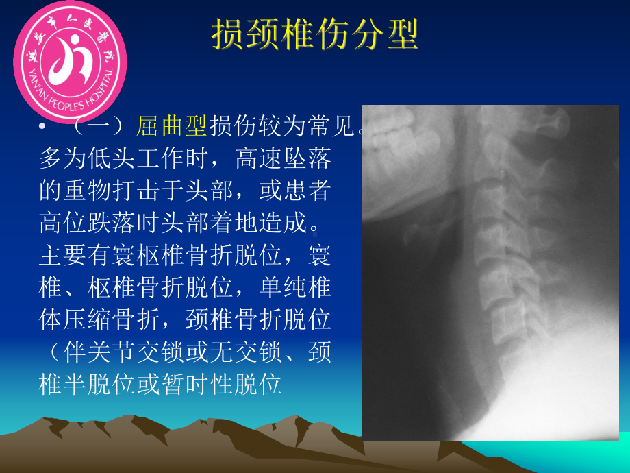 颈椎损伤课件.ppt_第2页