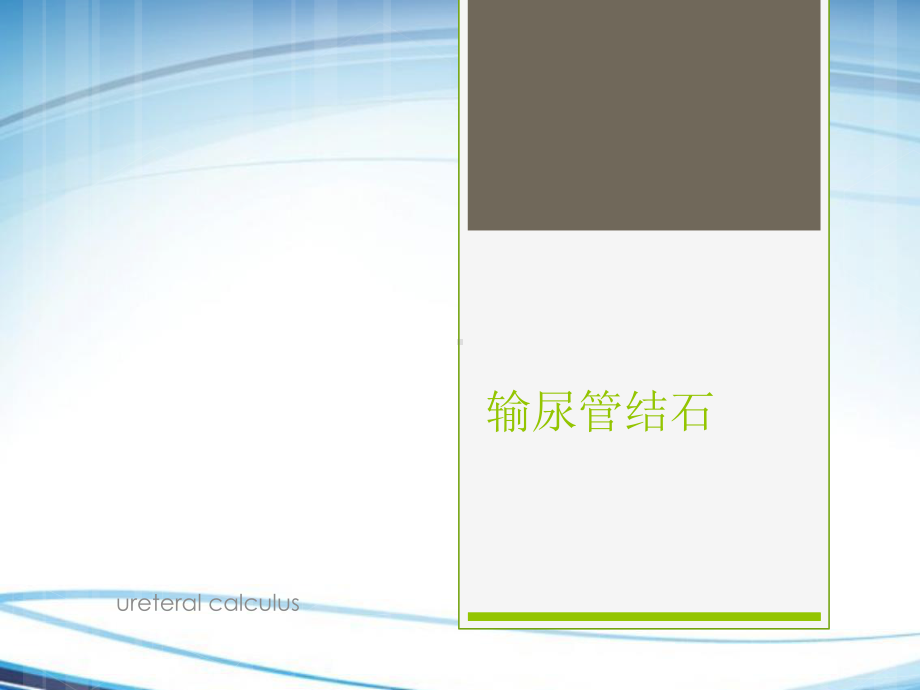 输尿管结石的护理课件.ppt_第1页