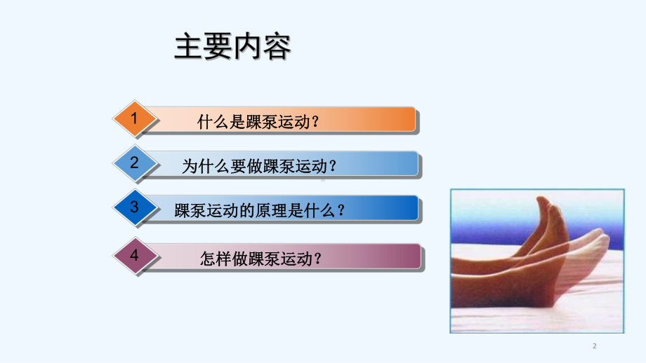 踝泵运动课件-.ppt_第2页