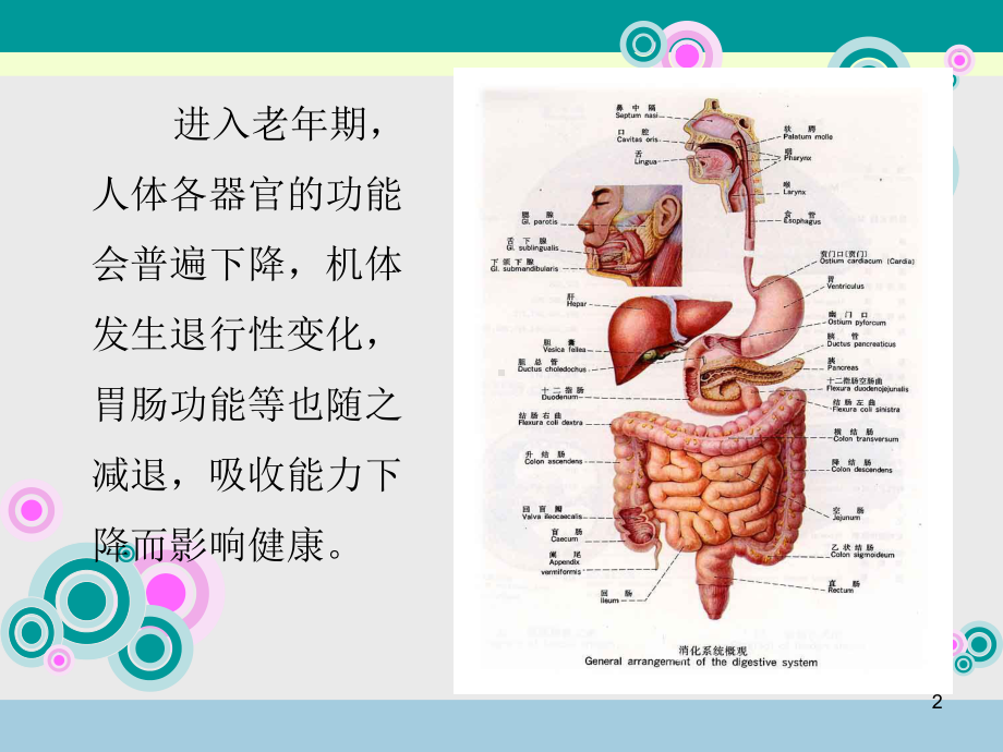 老年人的科学饮食课件.ppt_第2页