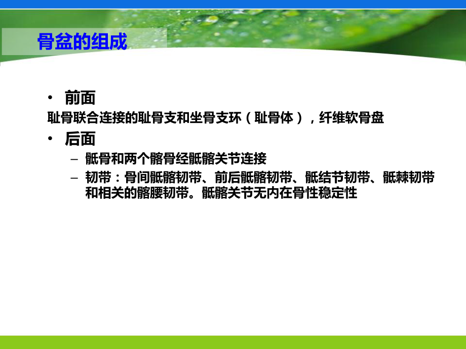 骨盆骨折急救与护理课件.ppt_第1页