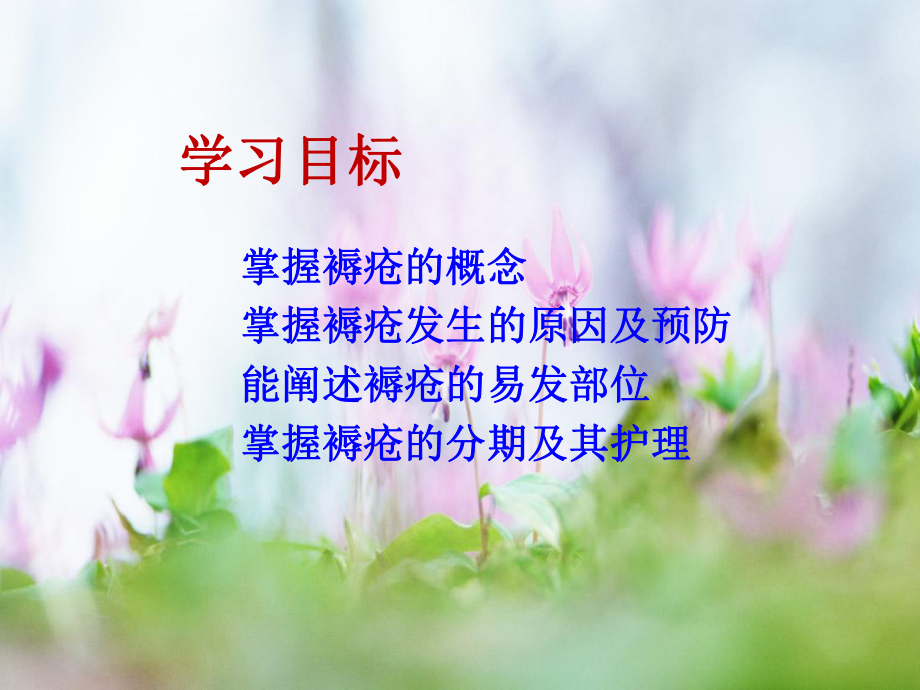 褥疮的预防和护理--课件.ppt_第2页