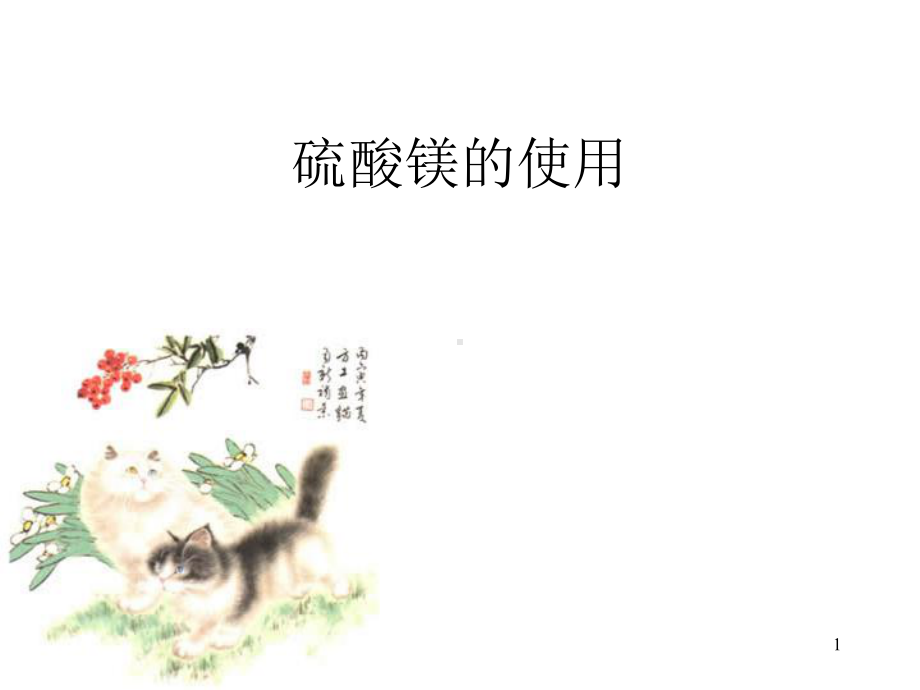 硫酸镁的使用课件.ppt_第1页