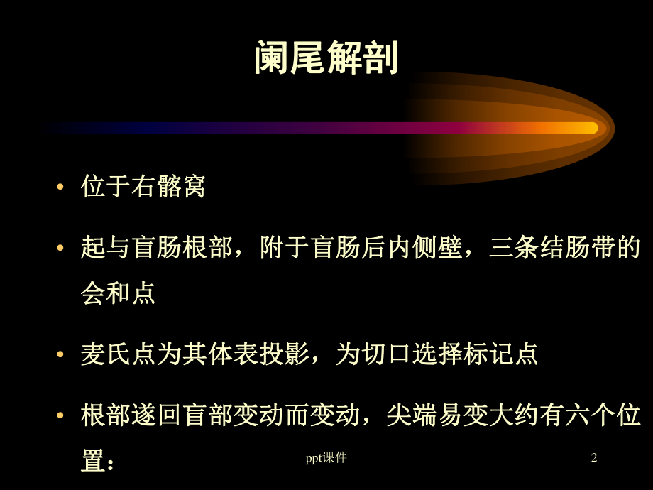 阑尾炎（普外科）-课件.ppt_第2页