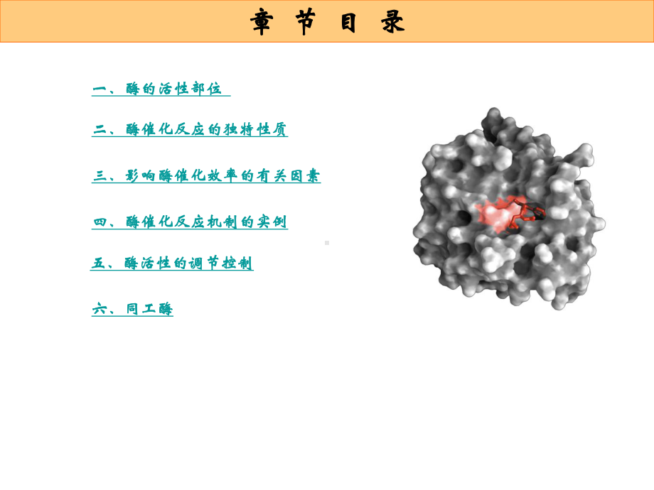 第10章酶作用机制和酶调节课件.ppt_第2页