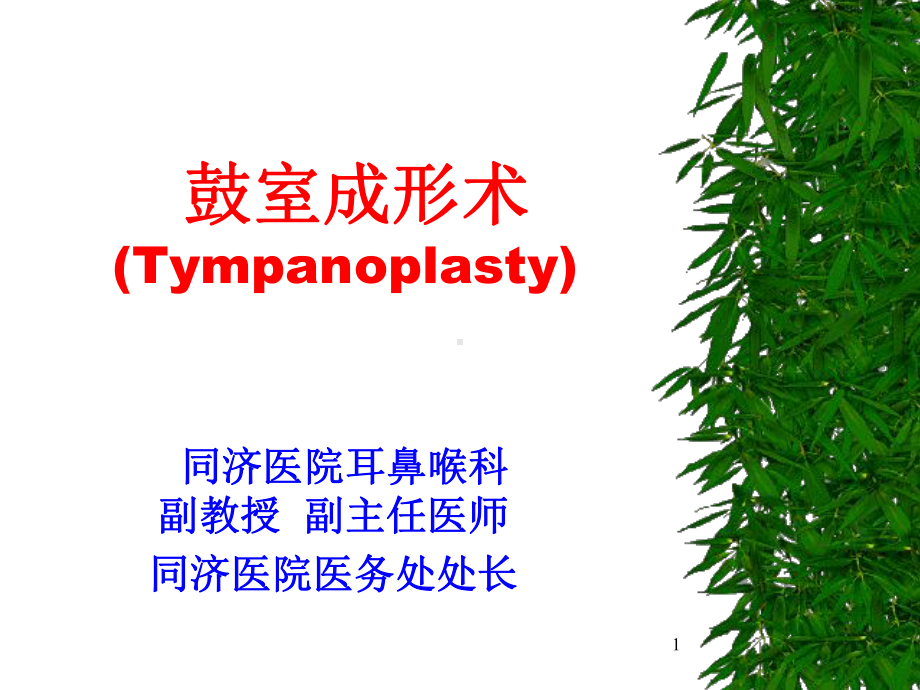 鼓室成形术(Tympanoplasty)课课件.ppt_第1页