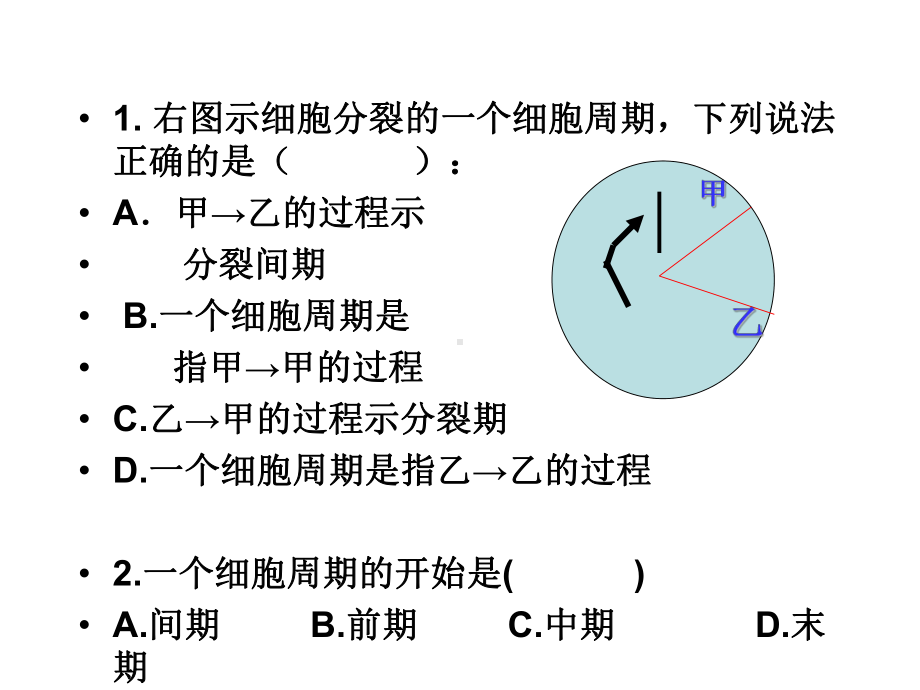 高中生物：有丝分裂练习题课件.ppt_第3页