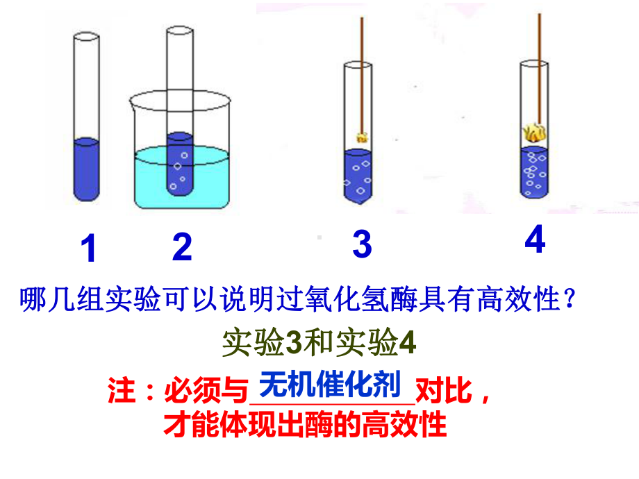 酶的特性公开课汇总课件.ppt_第3页