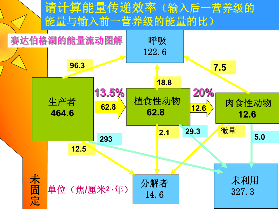 第2节-生态系统的能量流动(第二课时)课件.ppt_第3页
