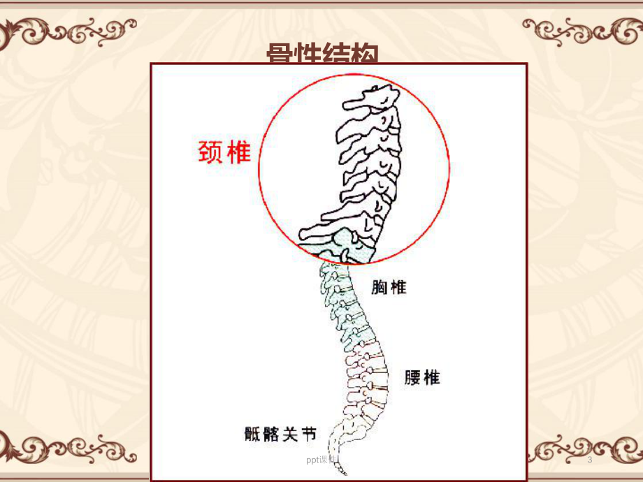 颈椎病健康教育-课件.ppt_第3页