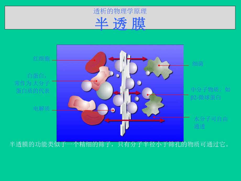 费森尤斯透析器知识课件.ppt_第3页