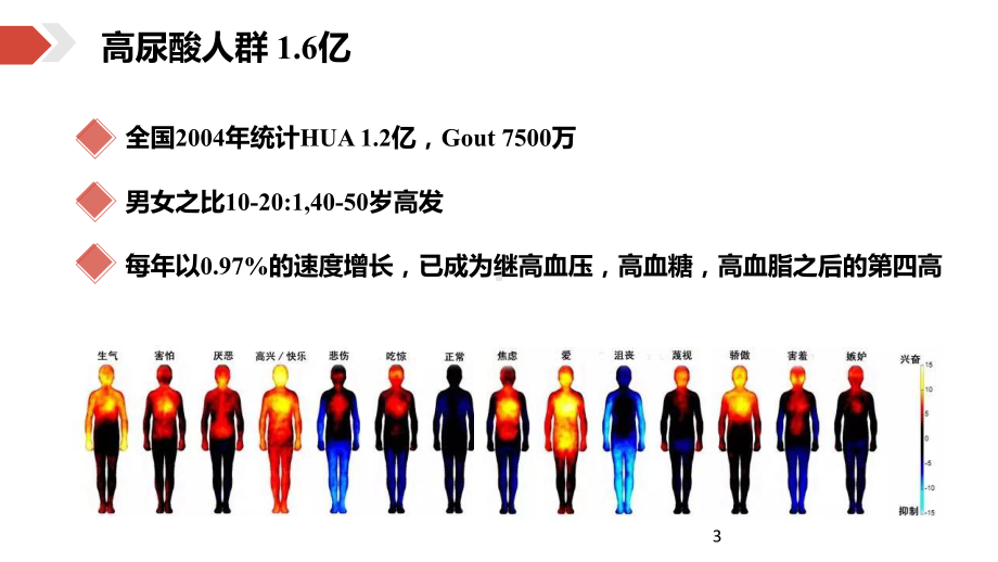 高尿酸血症如何选择饮食课件.ppt_第3页