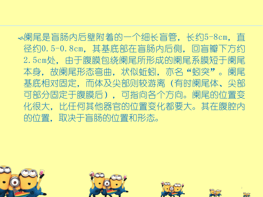 阑尾切除术课件.ppt_第2页