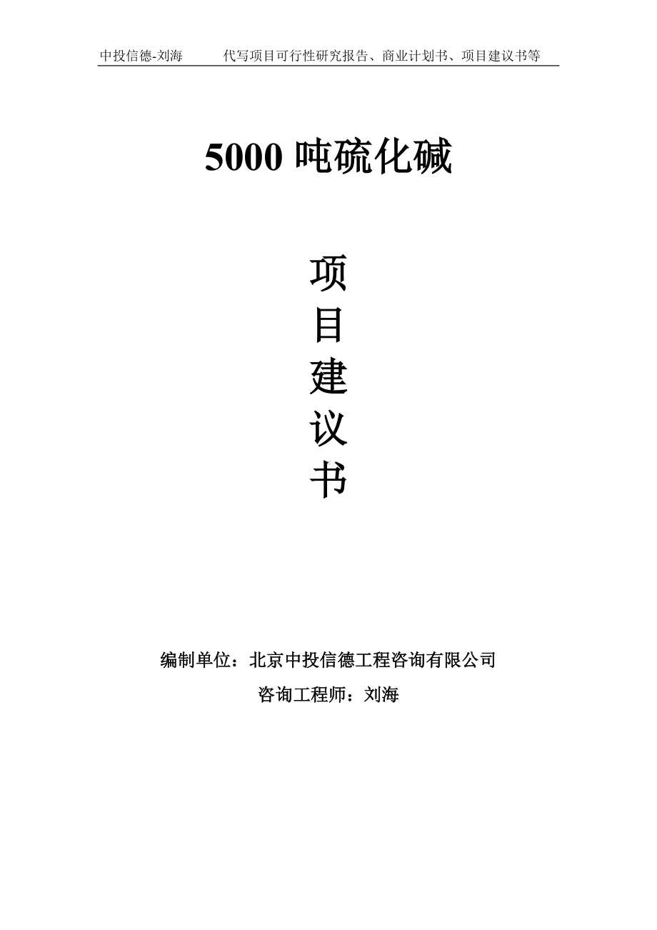 5000吨硫化碱项目建议书写作模板.doc_第1页