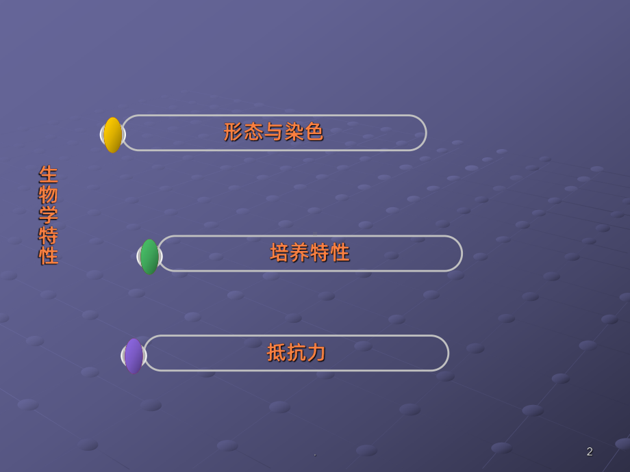 金黄色葡萄球菌课件.ppt_第2页