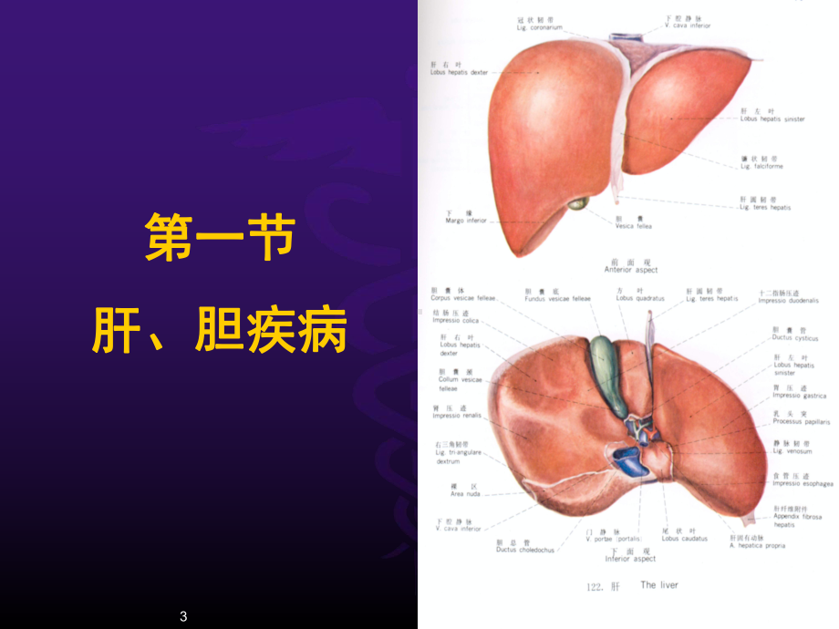 超声诊断-腹部-课件.ppt_第3页