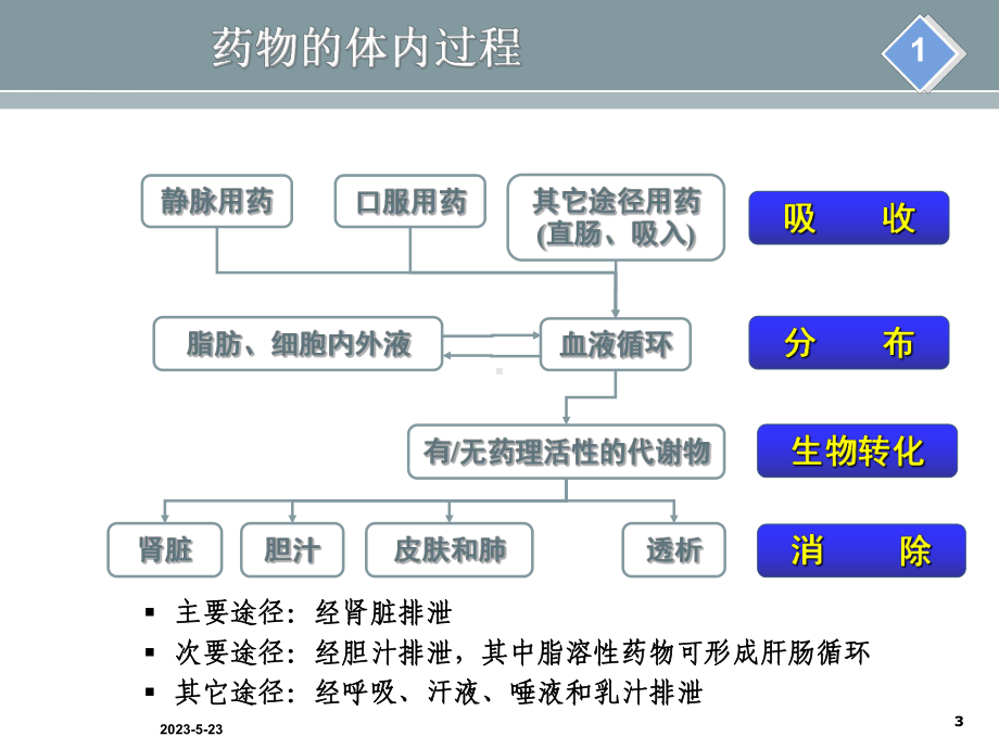 肾功能不全患者的合理用药完整版本课件.ppt_第3页