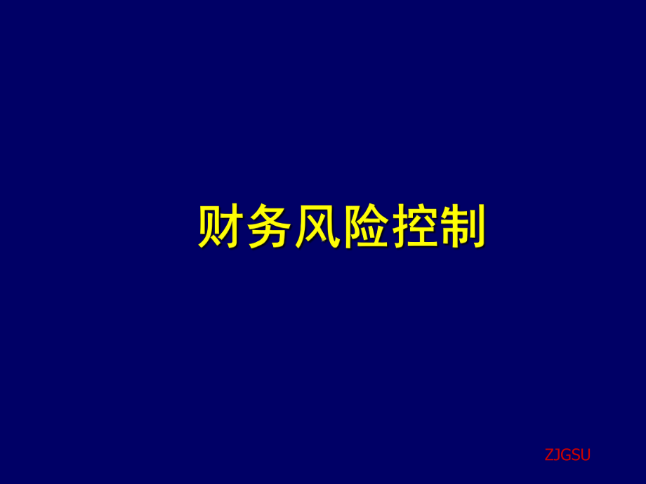 财务风险控制课件-参考.ppt_第1页