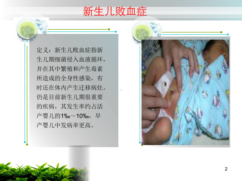 败血症护理课件.ppt_第2页