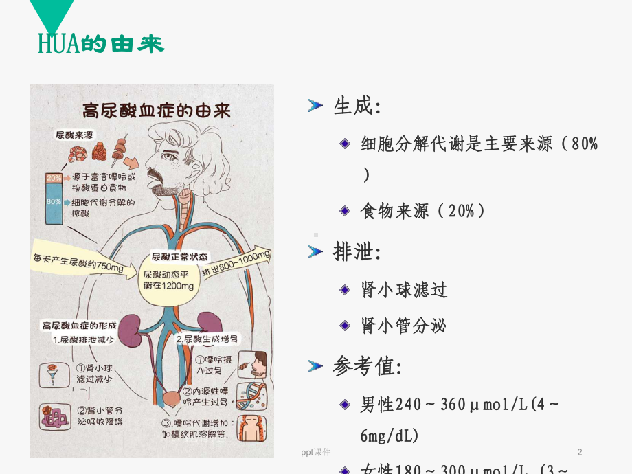 高尿酸血症及痛风的治疗-课件.ppt_第2页