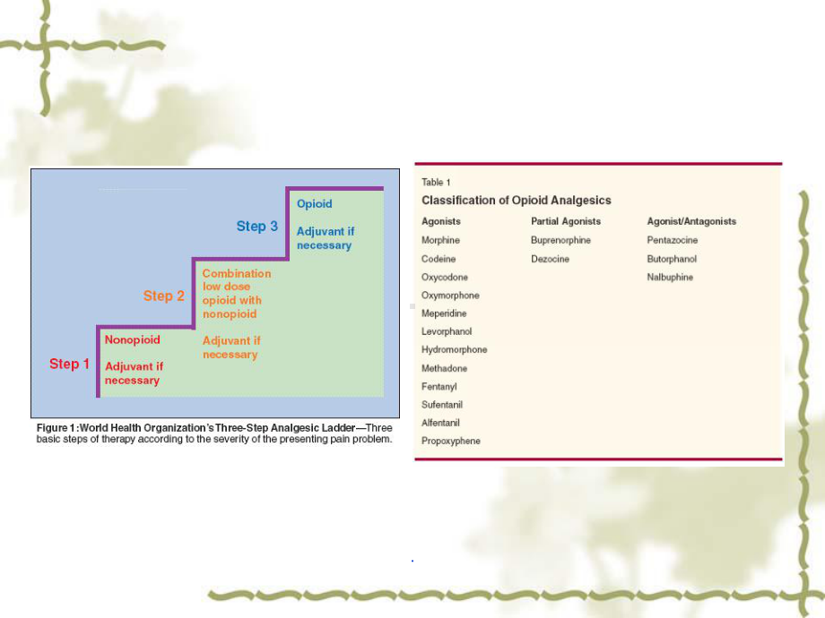 阿片类药物药理学课件.ppt_第3页