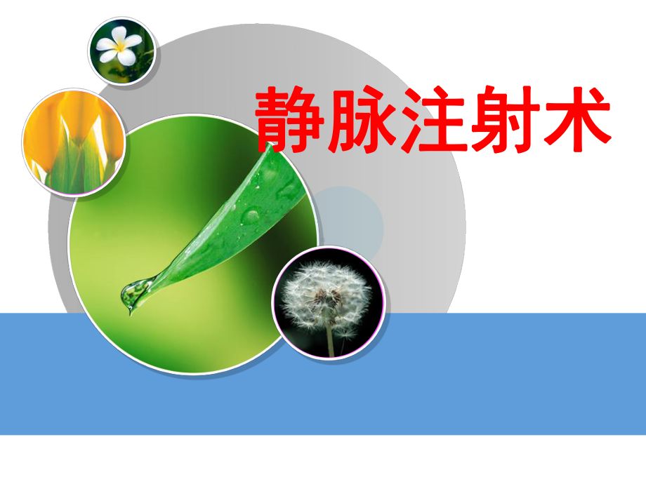 静脉注射法教学课件.ppt_第1页