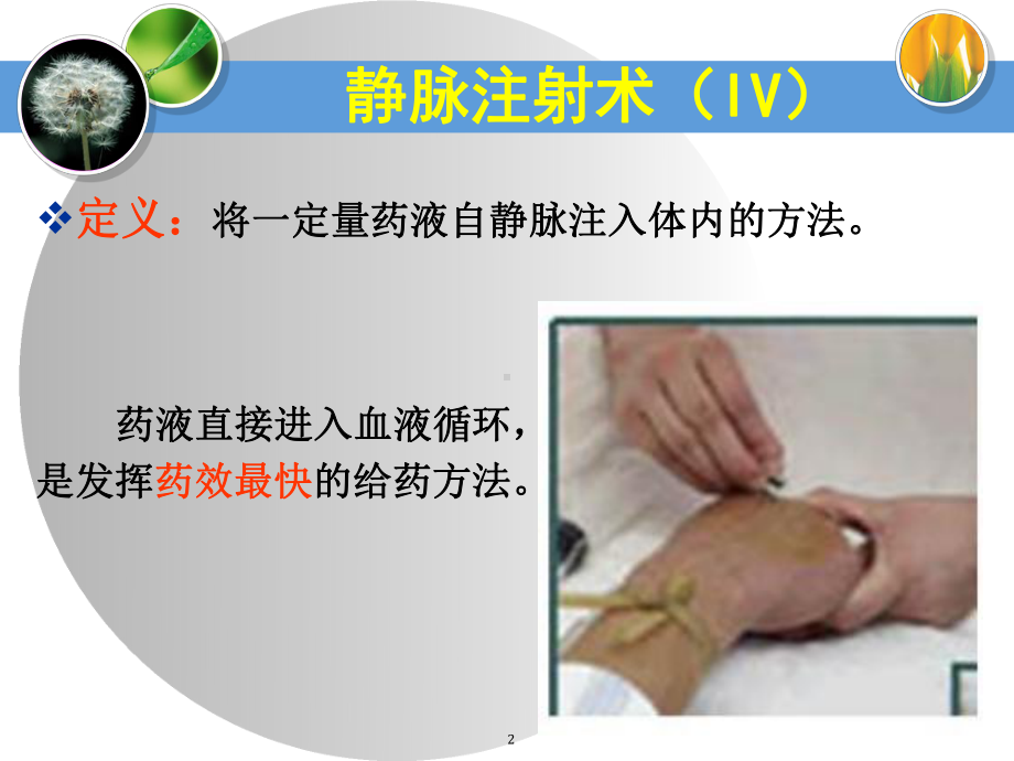 静脉注射法教学课件.ppt_第2页