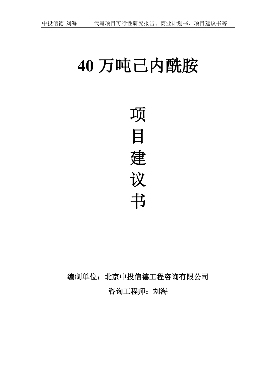 40万吨己内酰胺项目建议书写作模板.doc_第1页