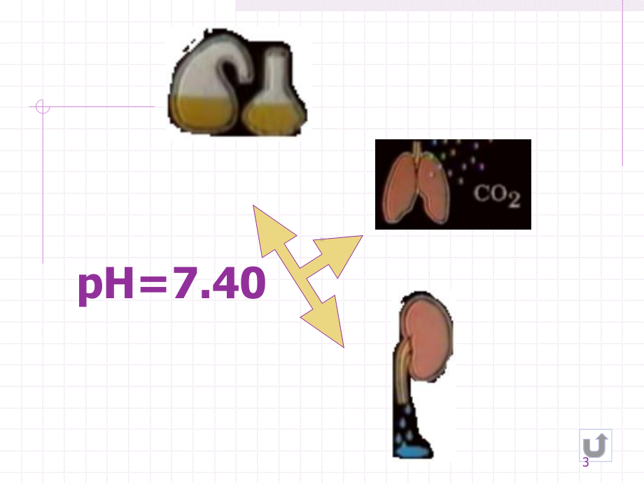 酸碱平衡失调的护理课件.ppt_第3页